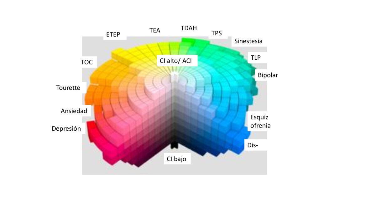 La esfera de la neurodiversidad 3 Esfera neurodiversidad